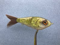 Image 3 of SPEEDBAITS Custom Airbrushed Swimbait NEOSHA 8801