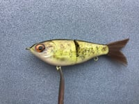 Image 2 of SPEEDBAITS Custom Airbrushed Swimbait NEOSHA 8801