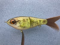 Image 4 of SPEEDBAITS Custom Airbrushed Swimbait NEOSHA 8801