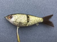Image 1 of SPEEDBAITS Custom Airbrushed Swimbait NEOSHA 8802