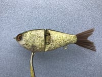 Image 5 of SPEEDBAITS Custom Airbrushed Swimbait NEOSHA 8802