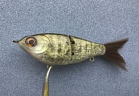 Image 1 of SPEEDBAITS Custom Airbrushed Swimbait NEOSHA 8803