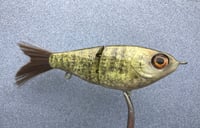 Image 2 of SPEEDBAITS Custom Airbrushed Swimbait NEOSHA 8803
