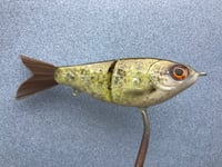 Image 2 of SPEEDBAITS Custom Airbrushed Swimbait NEOSHA 8804