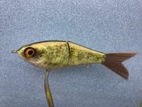 Image 5 of SPEEDBAITS Custom Airbrushed Swimbait NEOSHA 8804