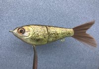 Image 1 of SPEEDBAITS Custom Airbrushed Swimbait NEOSHA 8805