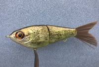 Image 2 of SPEEDBAITS Custom Airbrushed Swimbait NEOSHA 8805