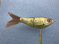 Image 4 of SPEEDBAITS Custom Airbrushed Swimbait NEOSHA 8805