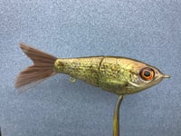 Image 5 of SPEEDBAITS Custom Airbrushed Swimbait NEOSHA 8805