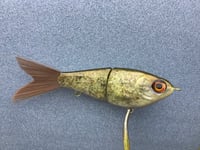 Image 4 of SPEEDBAITS Custom Airbrushed Swimbait NEOSHA 8806