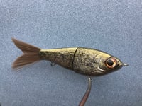 Image 3 of SPEEDBAITS Custom Airbrushed Swimbait 8808