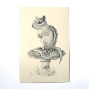 Image of Chipmunk