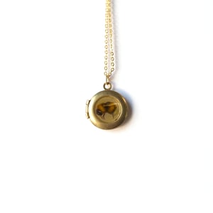 Image of Bee Locket #1