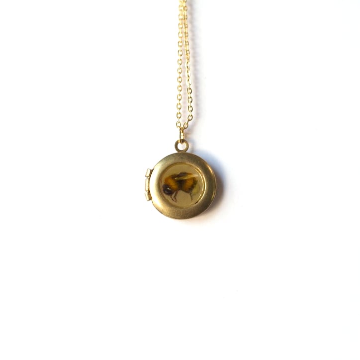 Image of Bee Locket #1