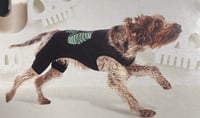 Image 1 of Dog Skeleton Costume