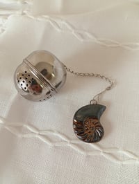 Image 1 of Tea Infuser - Ammonite