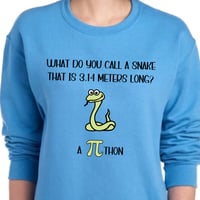 Image 1 of pi thon / python funny math teaching shirt