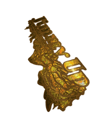 Limited Edition Gold Rose Vinyl - Limit: 50