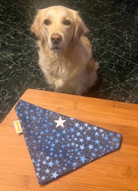 Blue Star Gazing Bandana