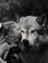 Image 3 of Women Who Run With Wolves- Clarissa Pinkola Estes