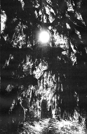 Image of AUGUST FULLMOON BUNDLE