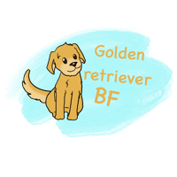 Golden retriever BF T- shirt