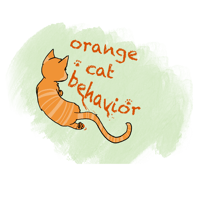 orange cat behavior T- shirt