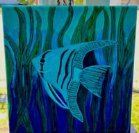Image 3 of Blue Zebra Angelfish 