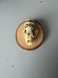 Image 2 of MINI MEMENTO MORI