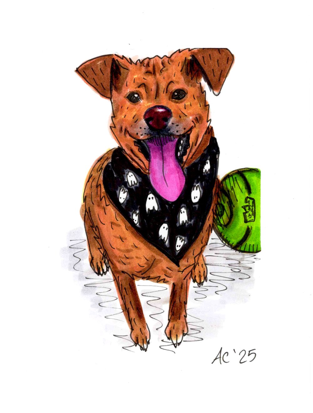 Image of Pet Portrait (PHYSICAL AND DIGITAL)
