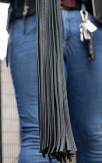 Image 2 of Mop flogger