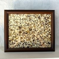 Browns and more. Framed 9.5x11.75