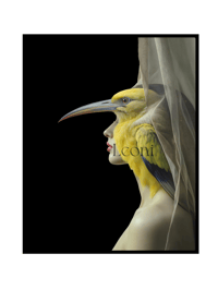 Image 2 of Hope is a Thing with Feathers limited edition print