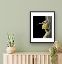 Image 1 of Hope is a Thing with Feathers limited edition print