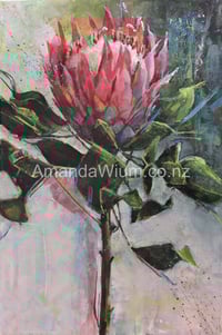 Protea - Print