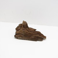 Image 1 of Tidal Treasures  