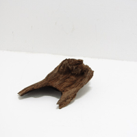 Image 2 of Tidal Treasures  