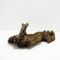 Image 1 of Ocean's Legacy  