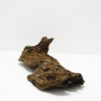 Image 2 of Ocean's Legacy  