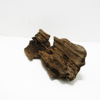 Image 3 of Ocean's Legacy  