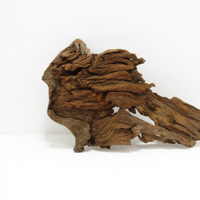 Image 1 of Shoreline Grace