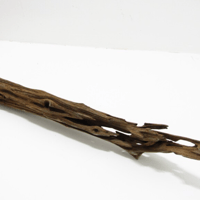 Image 3 of Seaside Escape  