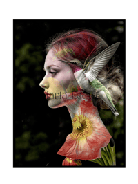 Image 2 of Hummingbird Woman limited edition print