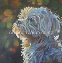 Waiting for Birds- Print
