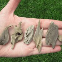 Image 3 of Driftwood JEWELRY