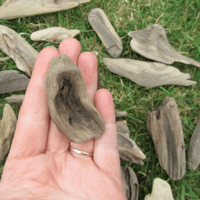 Image 2 of Driftwood JEWELRY