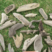 Image 1 of Driftwood JEWELRY