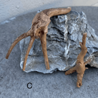 Image 3 of Malaysian Driftwood