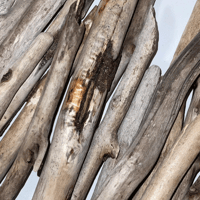 Image 3 of Driftwood Sticks