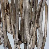 Image 1 of Driftwood Sticks